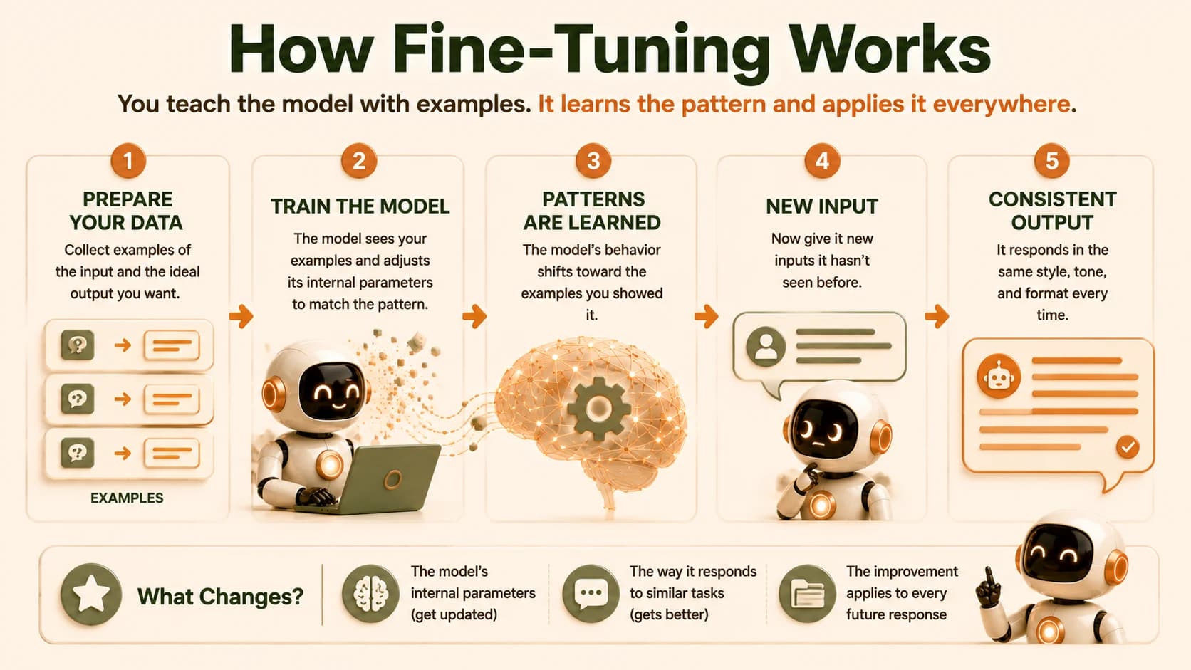 Five-step diagram titled How Fine-Tuning Works: prepare data, train the model, patterns are learned, new input arrives, consistent output every time